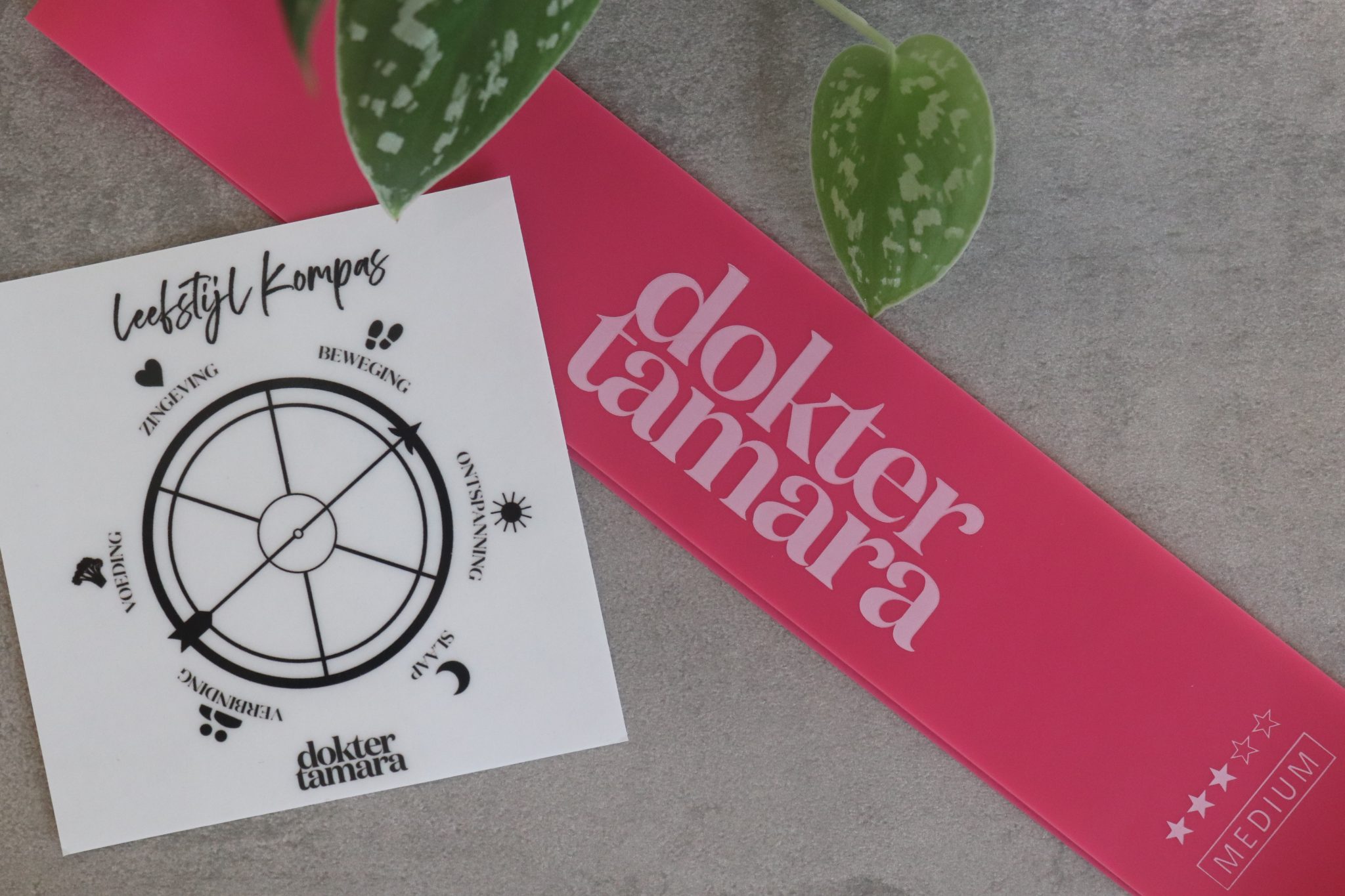 leefstijlprogramma - Dokter Tamara